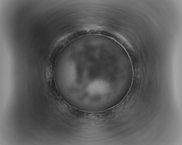 X0000115591063200911171025