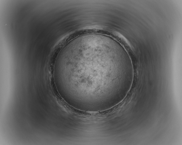 X0000115591064200911171025