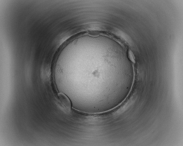 X0000115591065200911171025