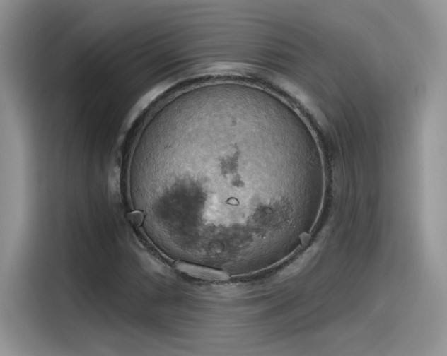 X0000115591066200911171025