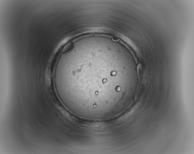 X0000115591067200911171025