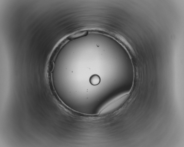 X0000115591068200911171025