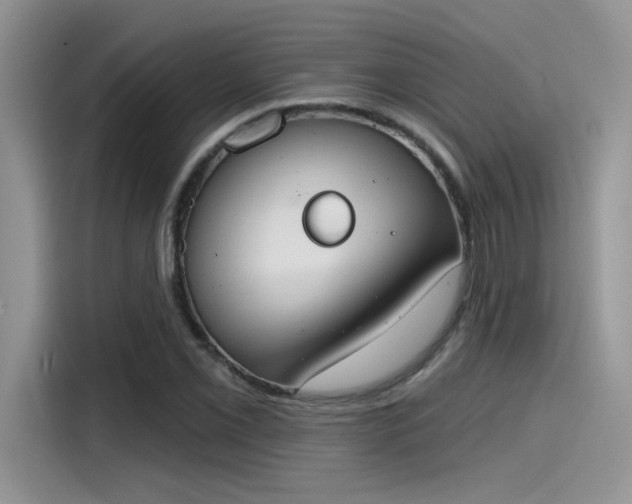 X0000115591069200911171025