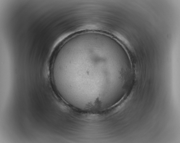 X0000115591070200911171025