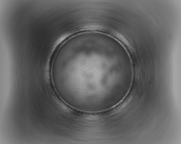 X0000115591071200911171025