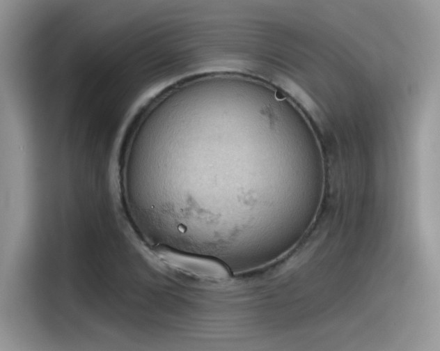 X0000115591072200911171025