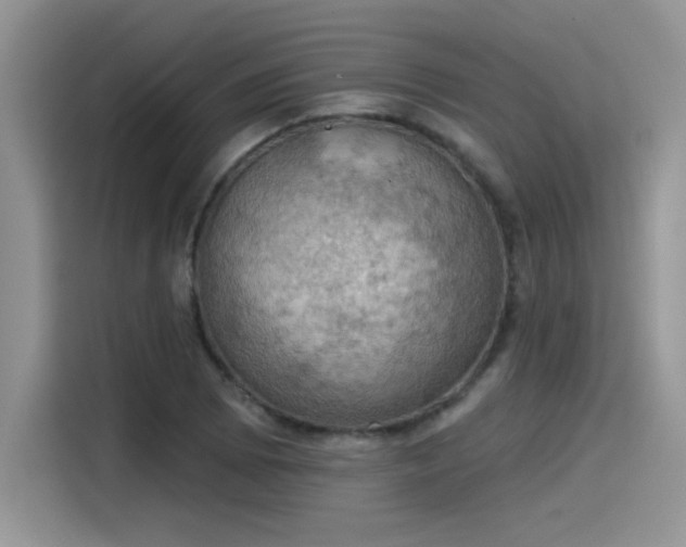 X0000115591073200911171025