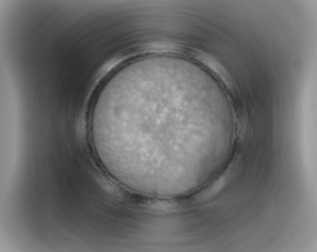X0000115591074200911171025
