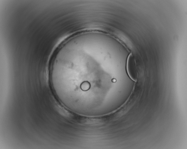X0000115591076200911171025