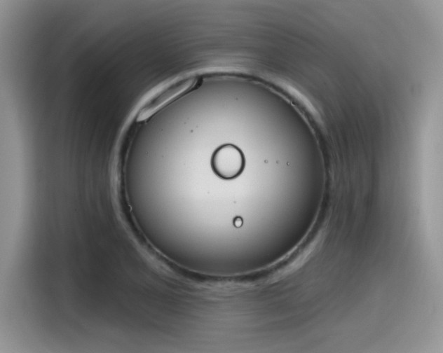 X0000115591077200911171025