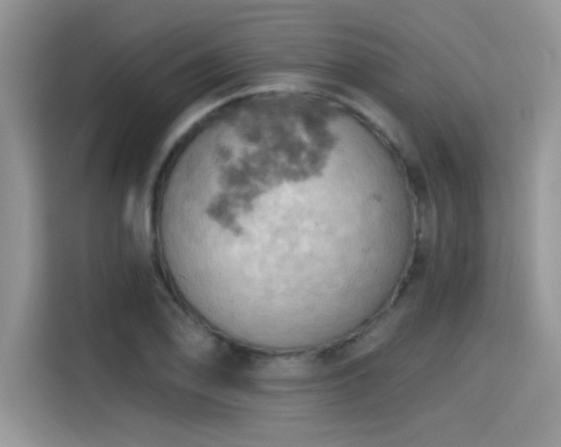 X0000115591078200911171025