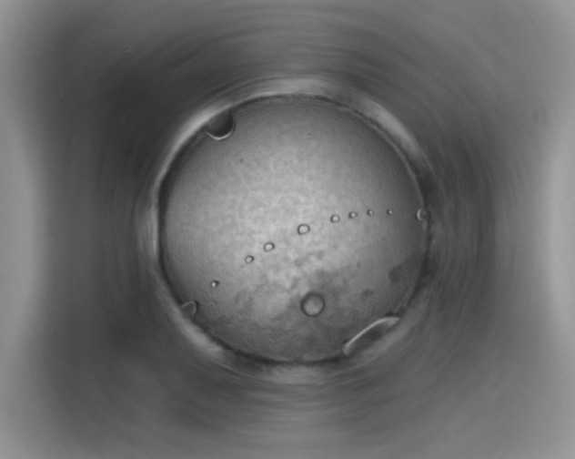 X0000115591079200911171025
