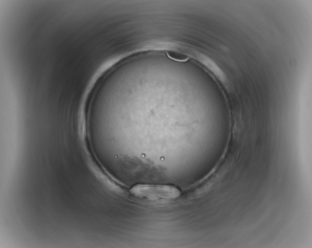 X0000115591080200911171025