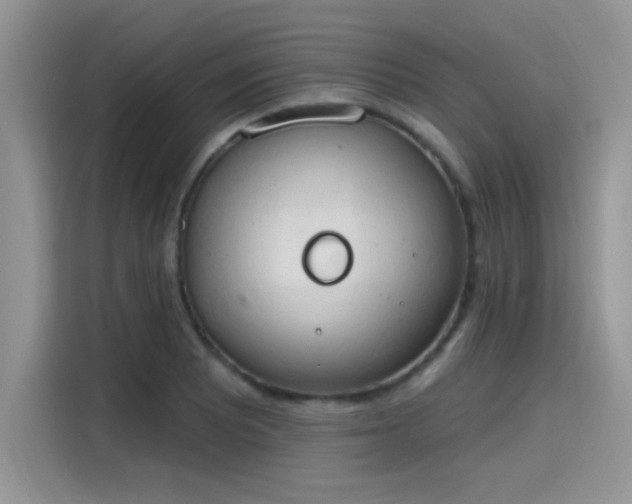 X0000115591081200911171025