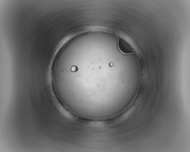 X0000115591082200911171025