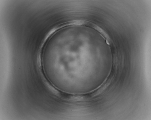 X0000115591083200911171025