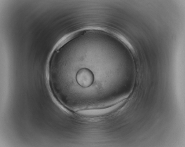 X0000115591084200911171025