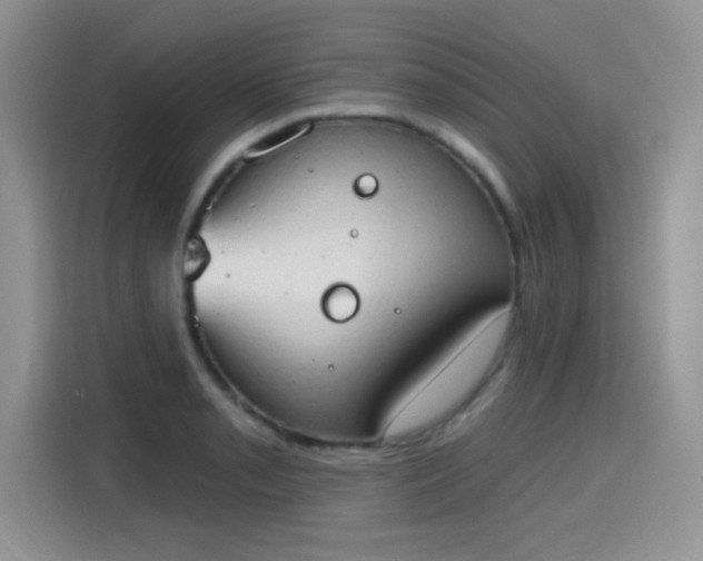 X0000115591085200911171025