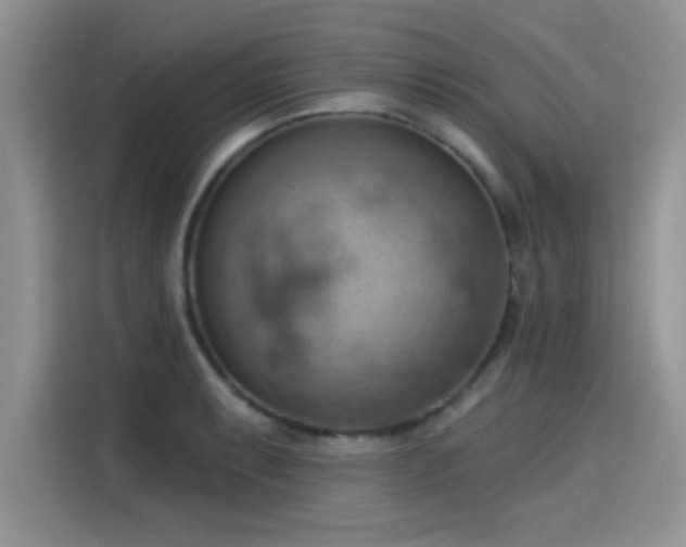 X0000115591087200911171025