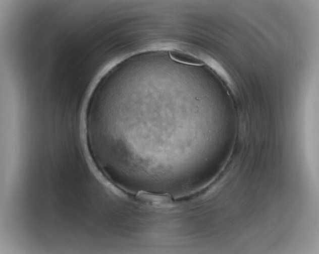 X0000115591088200911171025