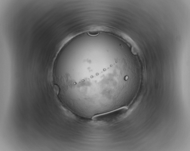 X0000115591089200911171025
