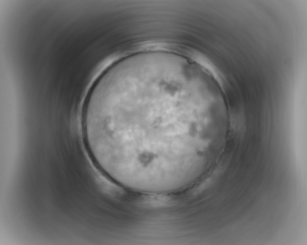 X0000115591090200911171025