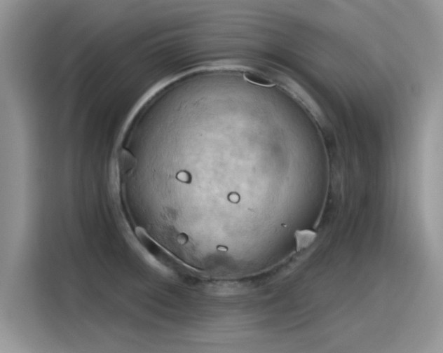 X0000115591092200911171025