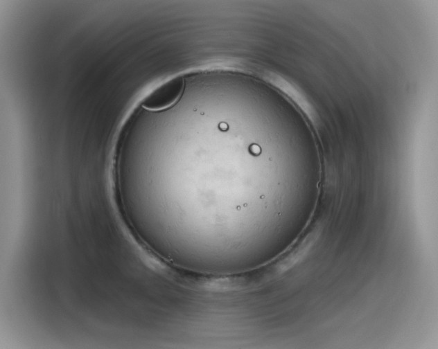X0000115591093200911171025