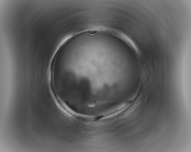 X0000115591095200911171025