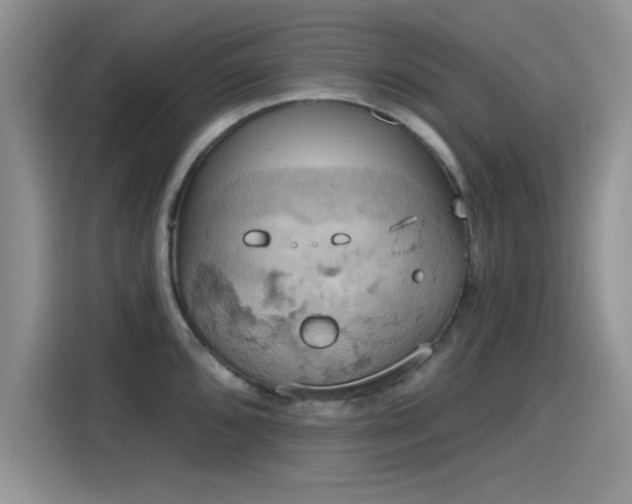 X0000115591096200911171025
