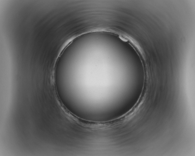 X0000115591097200911171025