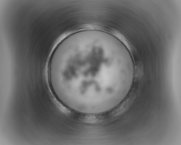 X0000115591098200911171025