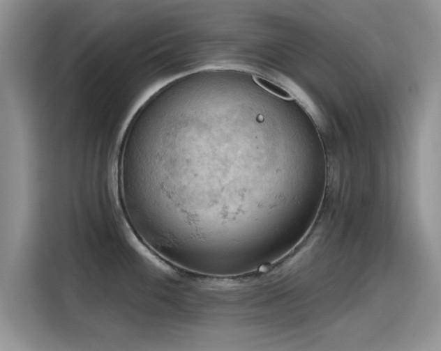 X0000115591100200911171025