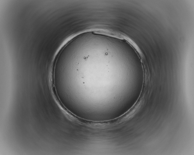 X0000115591101200911171025