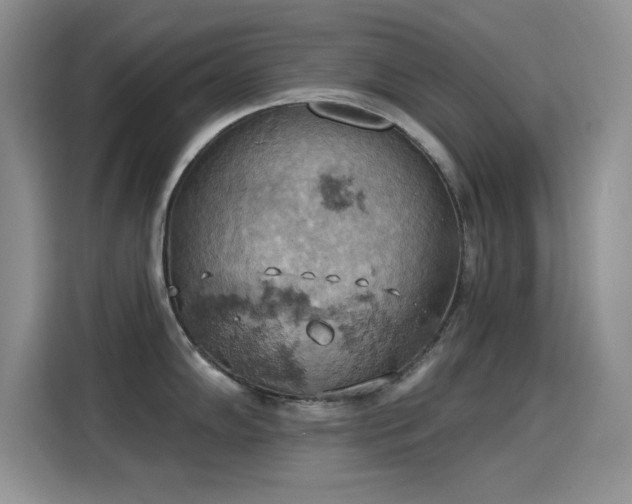 X0000115591102200911171025