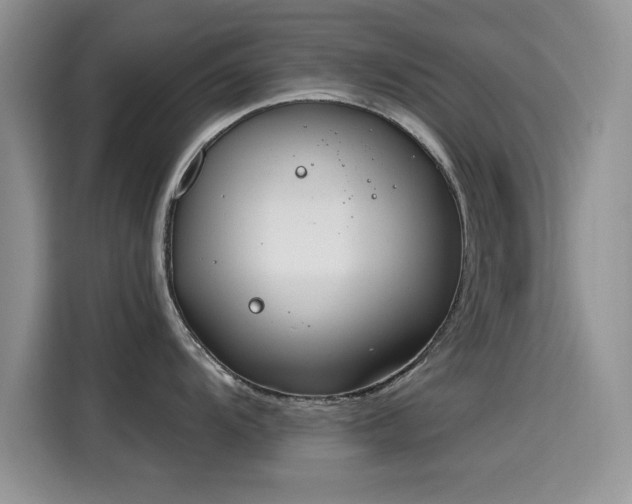 X0000115591104200911171025