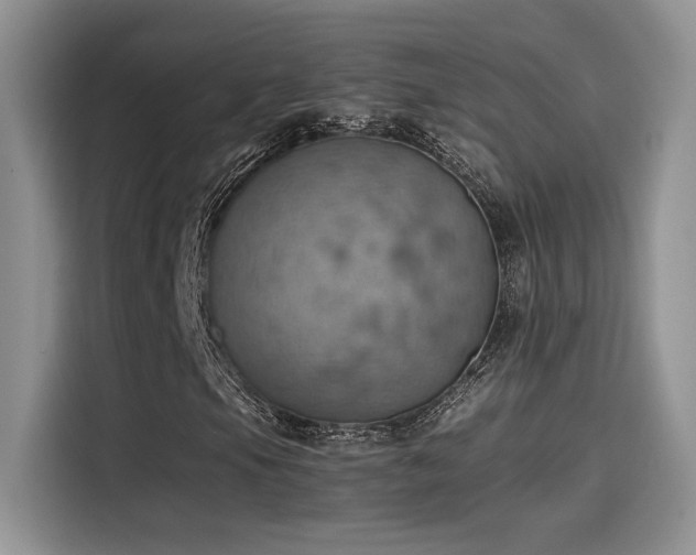 X0000115591105200911171024