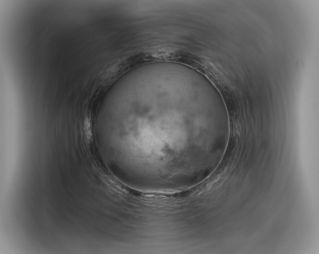 X0000115591106200911171024