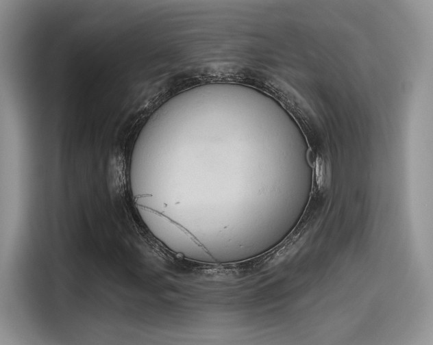 X0000115591107200911171024