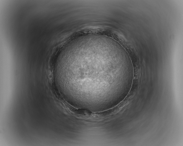 X0000115591109200911171024