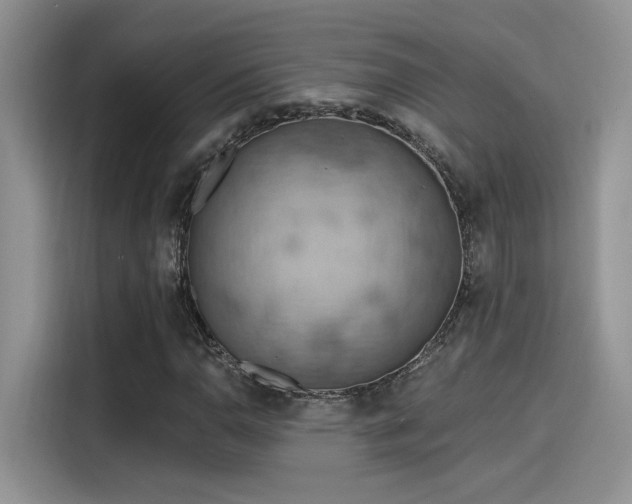 X0000115591110200911171024
