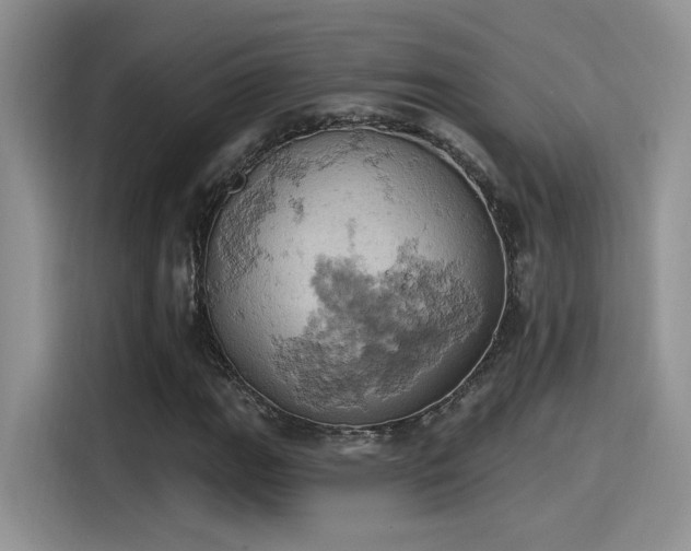 X0000115591111200911171024