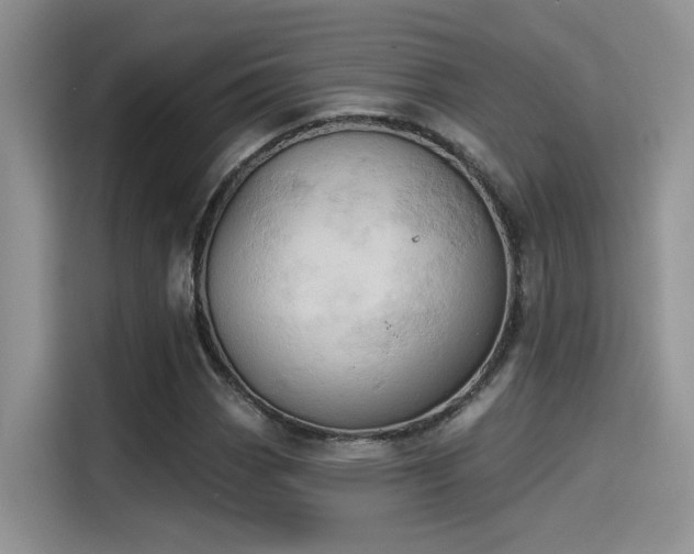 X0000115591113200911171024