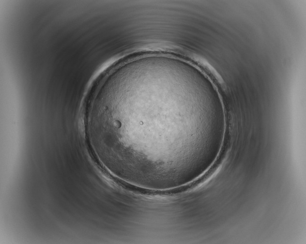 X0000115591114200911171024