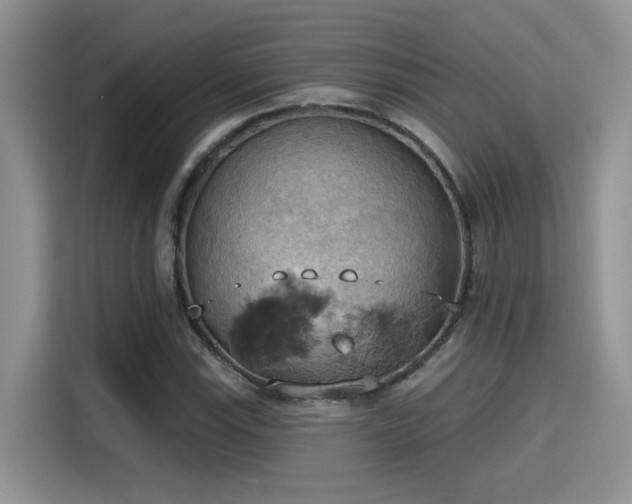 X0000115591115200911171024