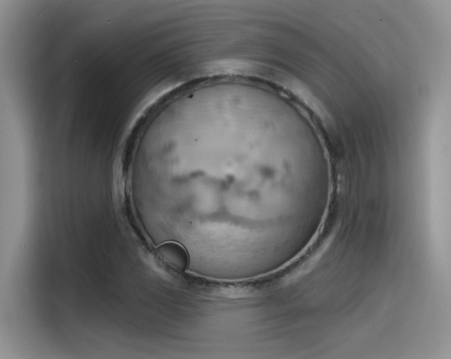 X0000115591117200911171024
