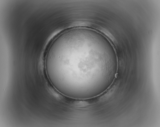 X0000115591119200911171024