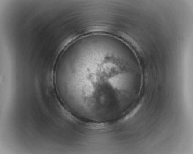 X0000115591121200911171024