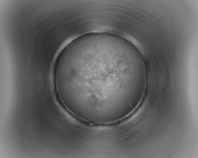 X0000115591122200911171024