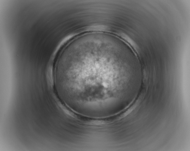 X0000115591123200911171024